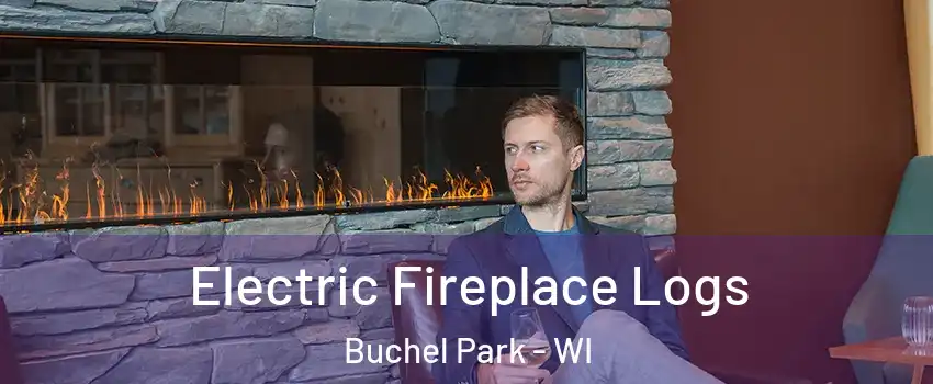 Electric Fireplace Logs Buchel Park - WI