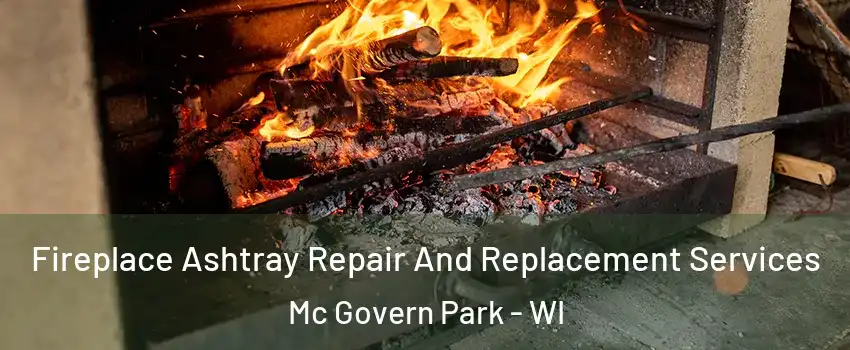 Fireplace Ashtray Repair And Replacement Services Mc Govern Park - WI