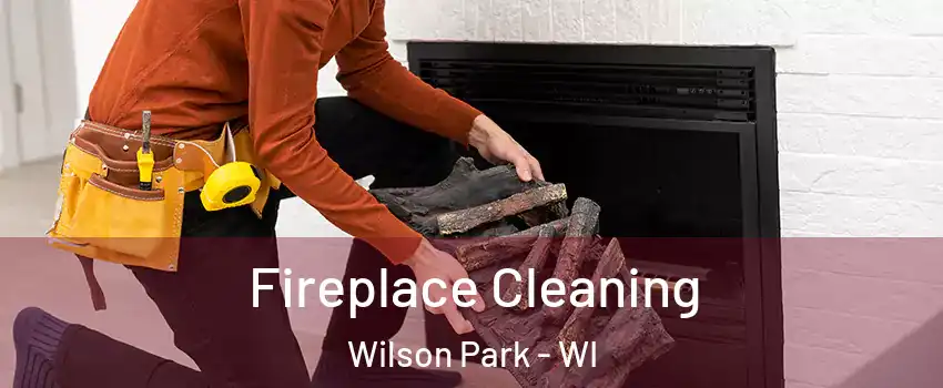 Fireplace Cleaning Wilson Park - WI