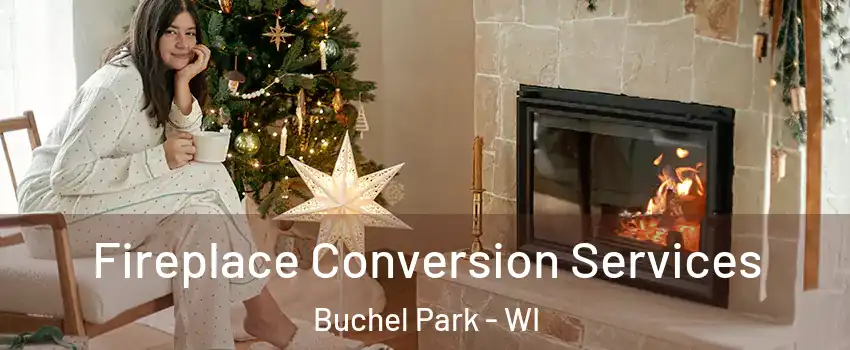 Fireplace Conversion Services Buchel Park - WI