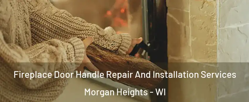 Fireplace Door Handle Repair And Installation Services Morgan Heights - WI