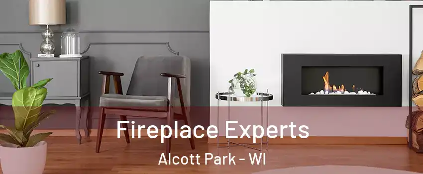 Fireplace Experts Alcott Park - WI