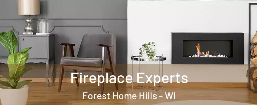 Fireplace Experts Forest Home Hills - WI