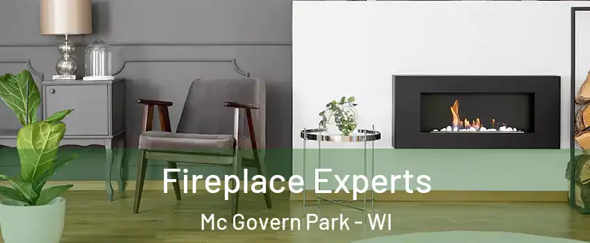 Fireplace Experts Mc Govern Park - WI