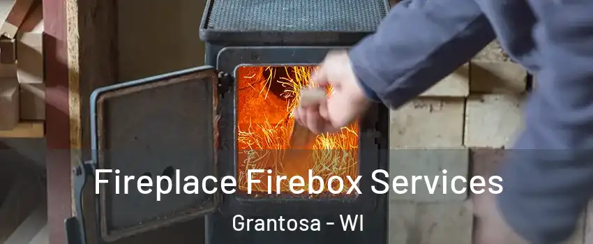 Fireplace Firebox Services Grantosa - WI