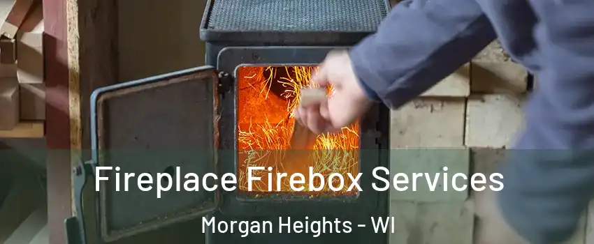 Fireplace Firebox Services Morgan Heights - WI
