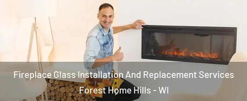 Fireplace Glass Installation And Replacement Services Forest Home Hills - WI