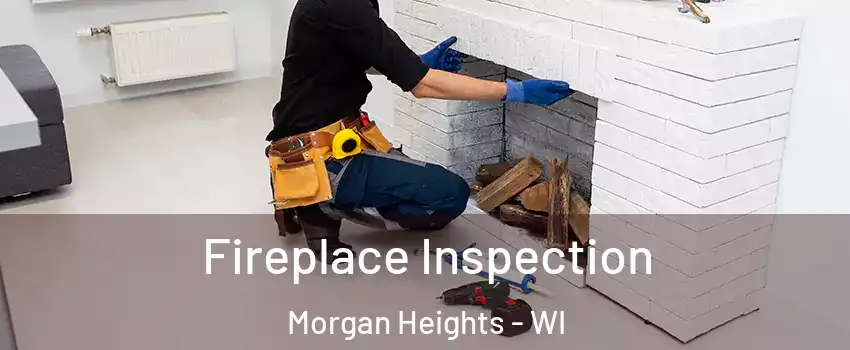Fireplace Inspection Morgan Heights - WI
