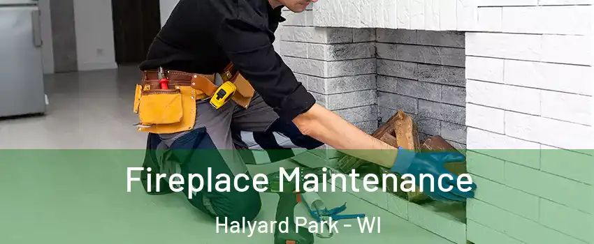 Fireplace Maintenance Halyard Park - WI