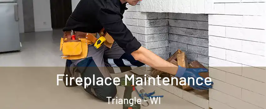 Fireplace Maintenance Triangle - WI