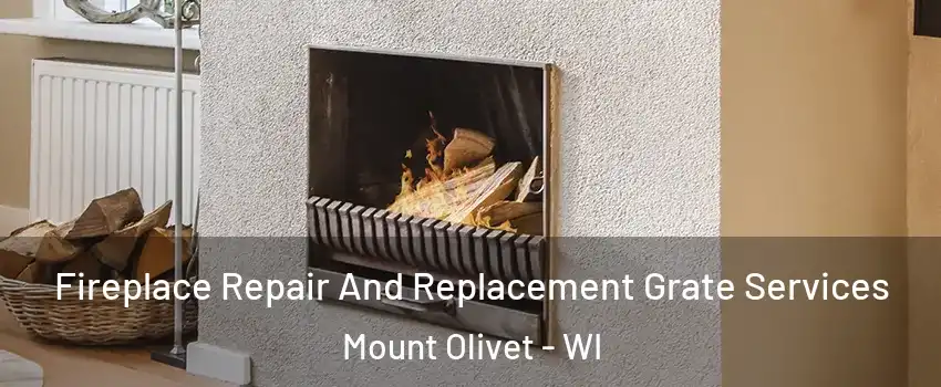 Fireplace Repair And Replacement Grate Services Mount Olivet - WI