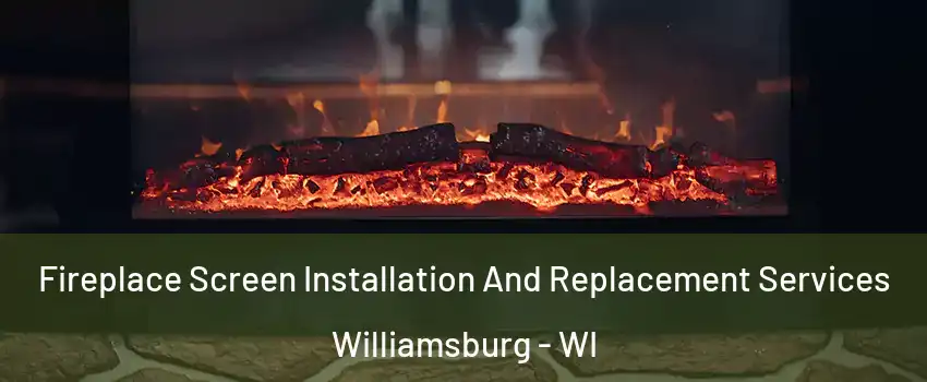 Fireplace Screen Installation And Replacement Services Williamsburg - WI