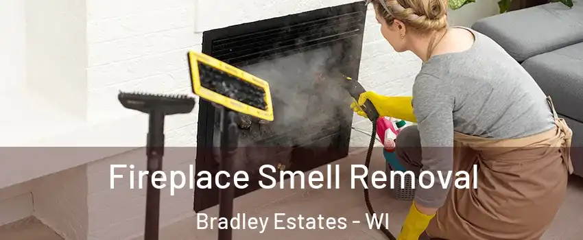 Fireplace Smell Removal Bradley Estates - WI