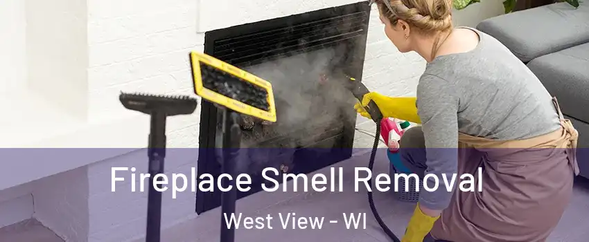 Fireplace Smell Removal West View - WI