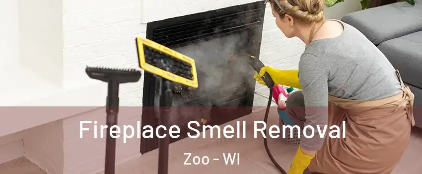 Fireplace Smell Removal Zoo - WI