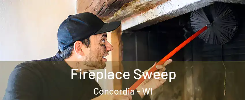 Fireplace Sweep Concordia - WI