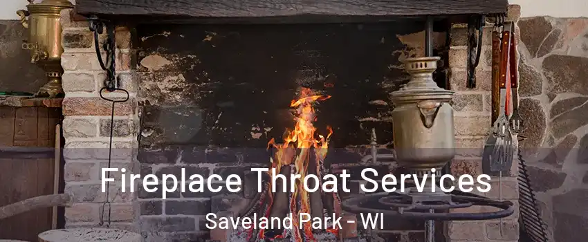 Fireplace Throat Services Saveland Park - WI