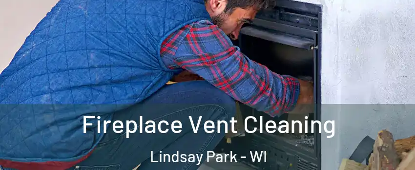 Fireplace Vent Cleaning Lindsay Park - WI