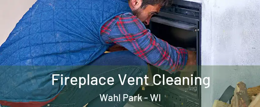 Fireplace Vent Cleaning Wahl Park - WI