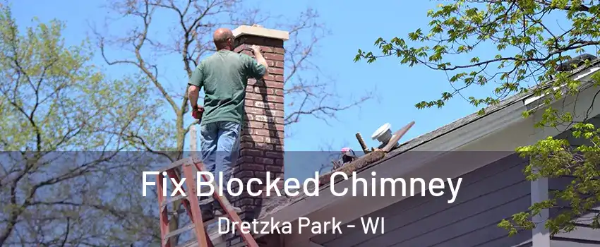 Fix Blocked Chimney Dretzka Park - WI