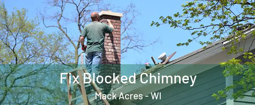Fix Blocked Chimney Mack Acres - WI
