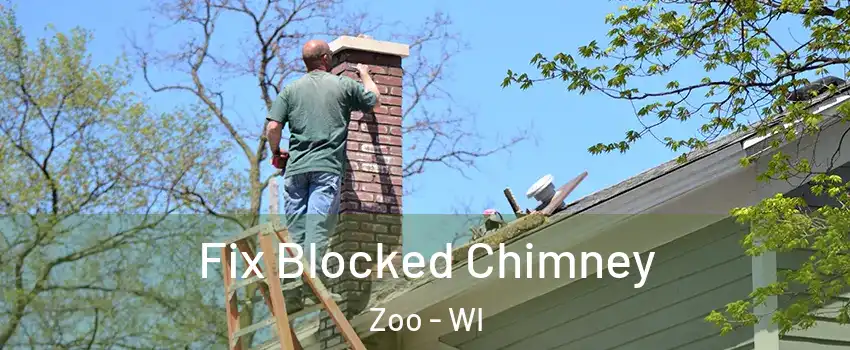 Fix Blocked Chimney Zoo - WI