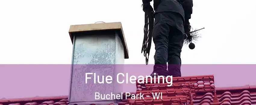 Flue Cleaning Buchel Park - WI