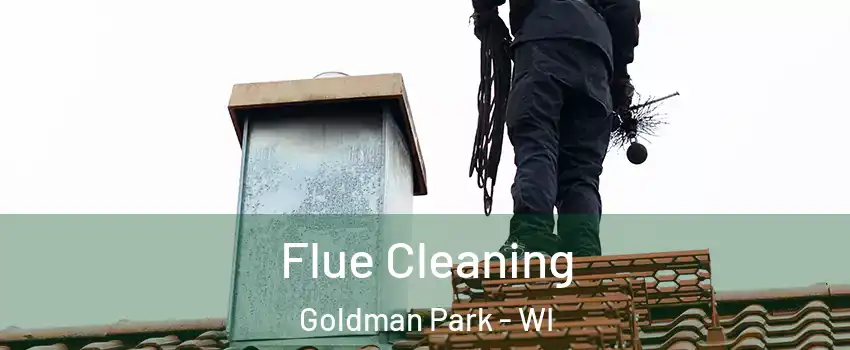 Flue Cleaning Goldman Park - WI