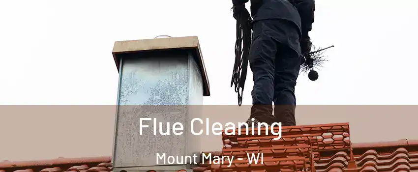 Flue Cleaning Mount Mary - WI