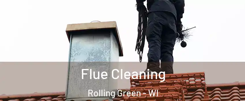 Flue Cleaning Rolling Green - WI