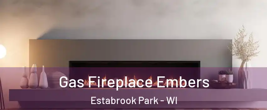 Gas Fireplace Embers Estabrook Park - WI