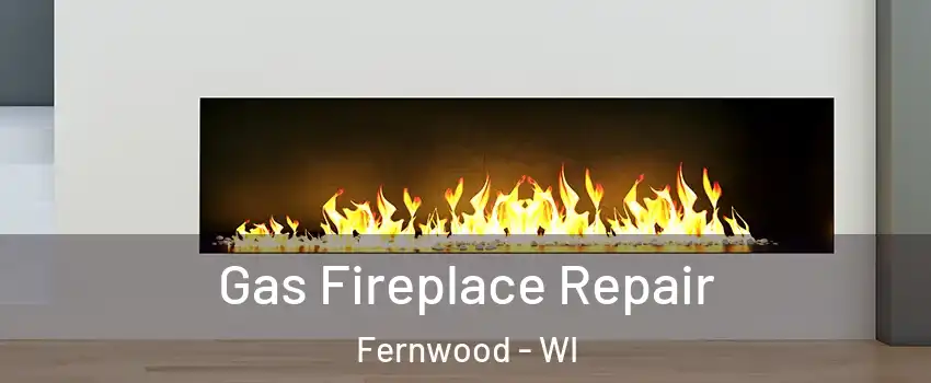 Gas Fireplace Repair Fernwood - WI