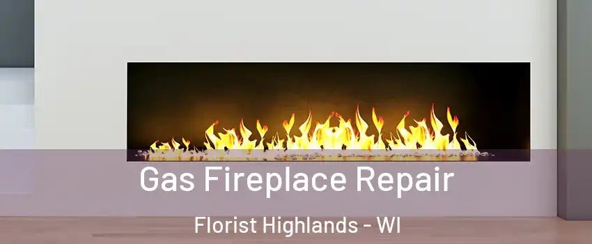 Gas Fireplace Repair Florist Highlands - WI