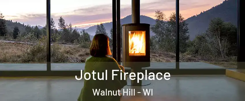 Jotul Fireplace Walnut Hill - WI