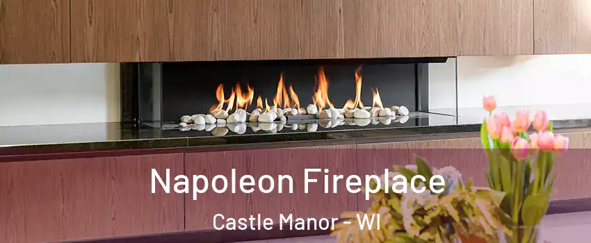 Napoleon Fireplace Castle Manor - WI