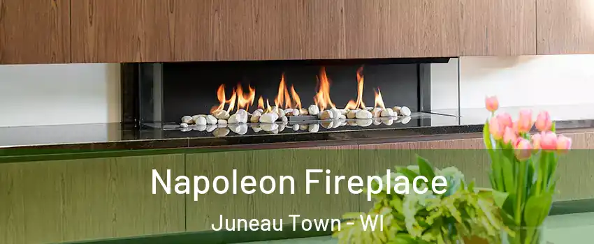 Napoleon Fireplace Juneau Town - WI