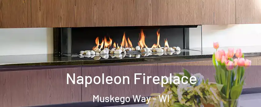 Napoleon Fireplace Muskego Way - WI