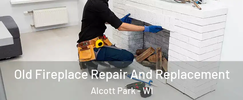 Old Fireplace Repair And Replacement Alcott Park - WI