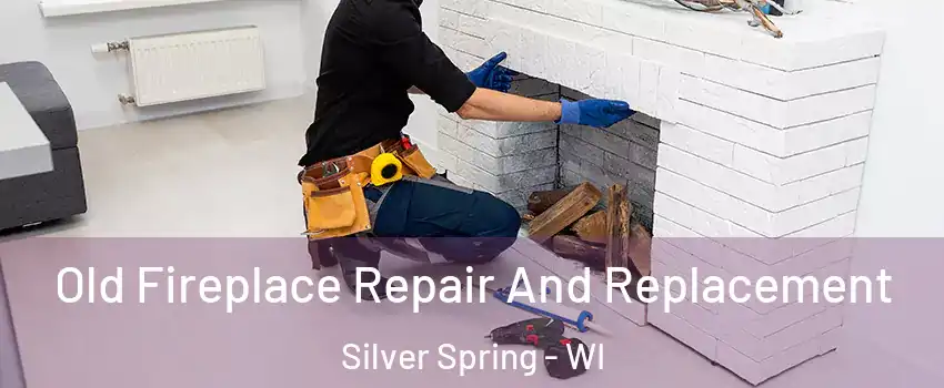 Old Fireplace Repair And Replacement Silver Spring - WI