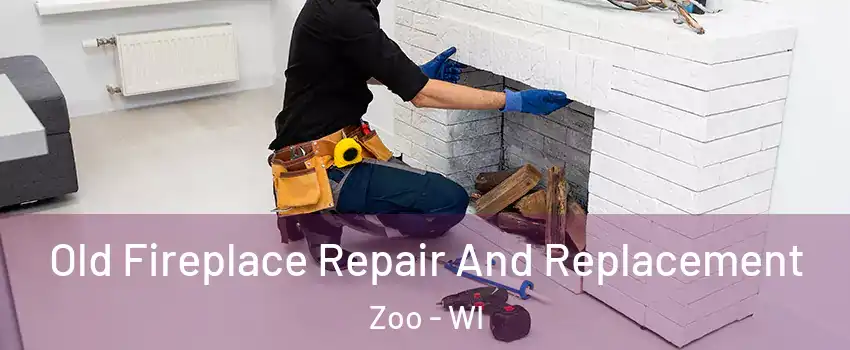 Old Fireplace Repair And Replacement Zoo - WI