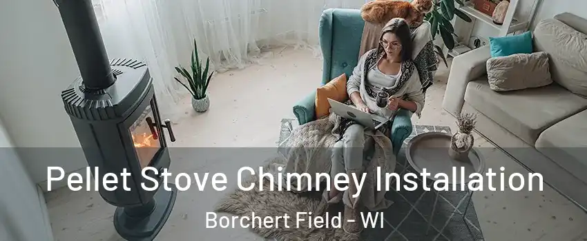 Pellet Stove Chimney Installation Borchert Field - WI