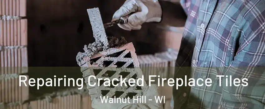 Repairing Cracked Fireplace Tiles Walnut Hill - WI