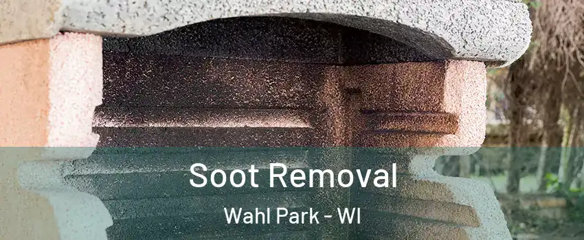 Soot Removal Wahl Park - WI
