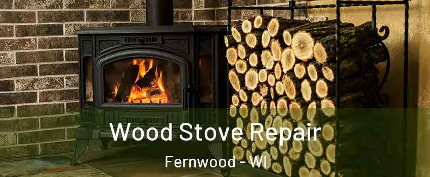 Wood Stove Repair Fernwood - WI